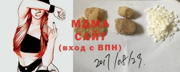 индика Абаза