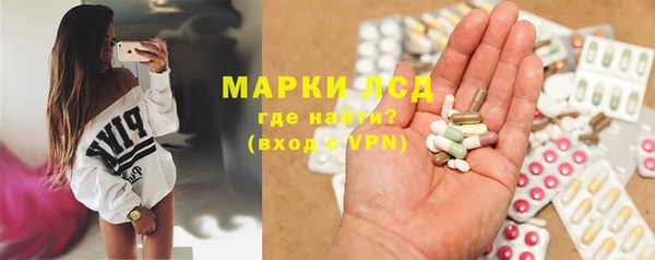 индика Абаза