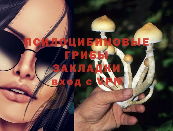 индика Абаза