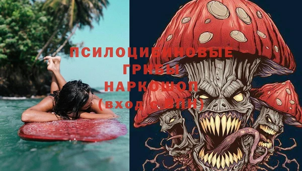 индика Абаза