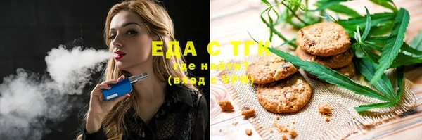 индика Абаза