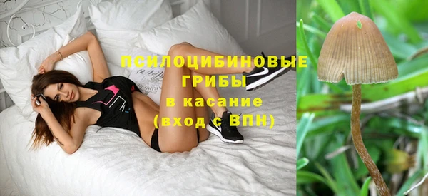 гидропоника Алзамай